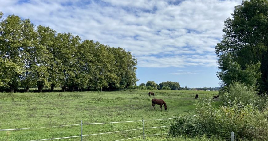 vente Terrain Saint Jean De Marsacq