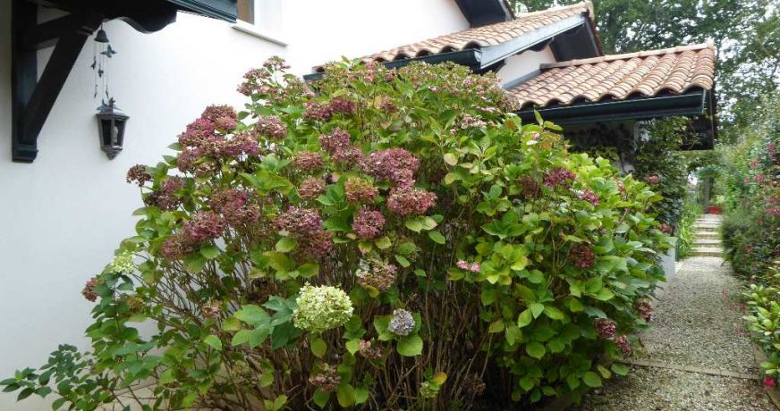 vente Villa d'architecte Bassussarry