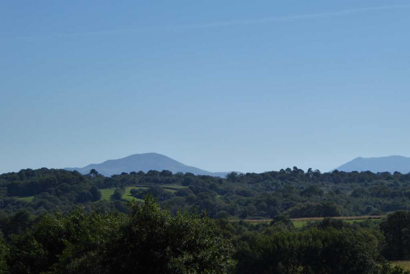 vente Villa d'architecte Arcangues - Photo 2