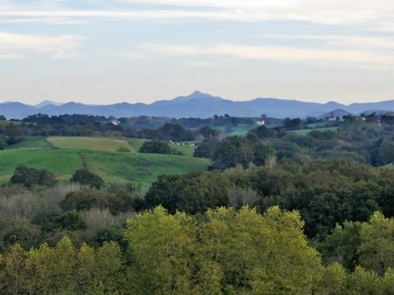 vente Fermette Urt - Photo 2