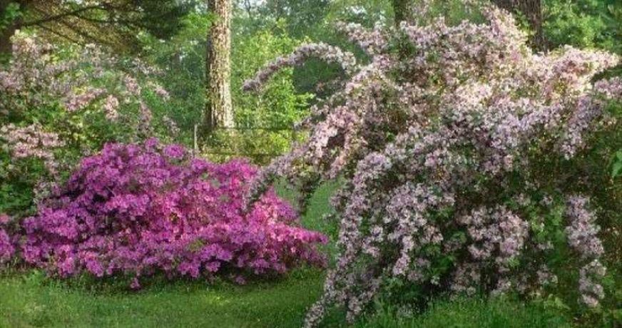 vente Maison de maître Saint Martin De Seignanx