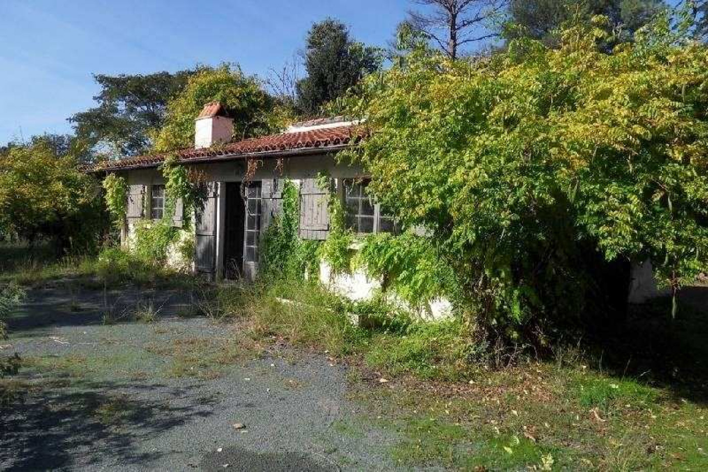 vente Maison de maître Saint Martin De Seignanx - Photo 16