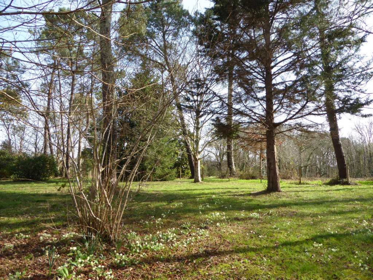 vente Maison de maître Saint Martin De Seignanx - Photo 19