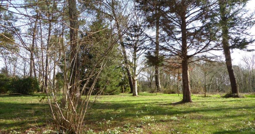 vente Maison de maître Saint Martin De Seignanx