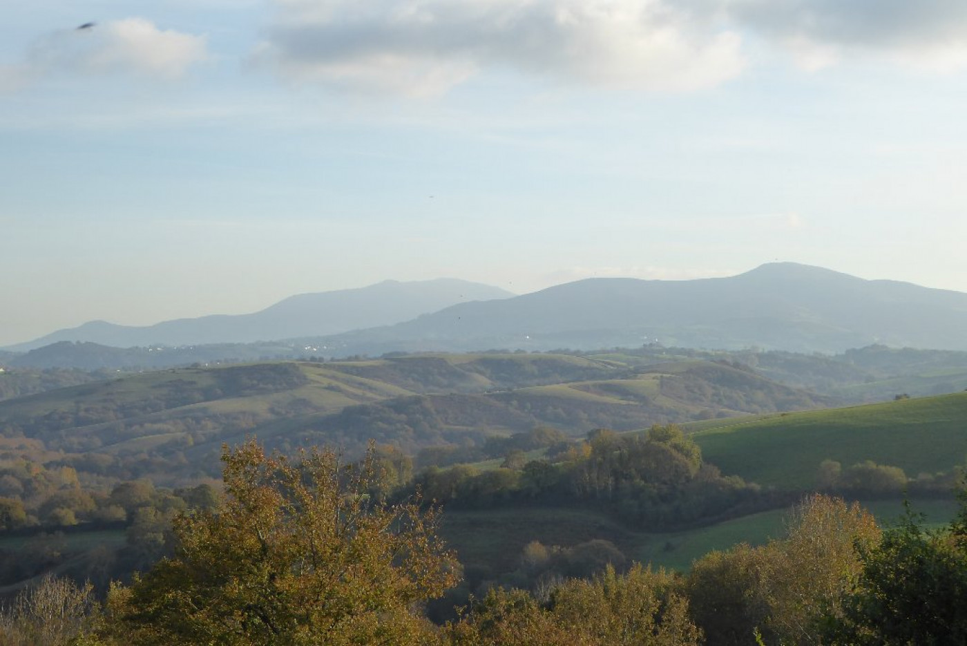 vente Villa d'architecte Bayonne - Photo 15