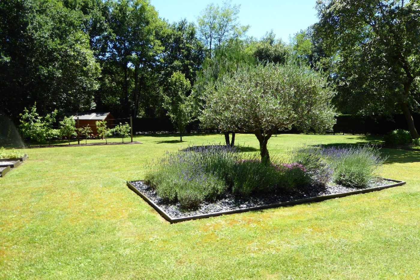 vente Villa d'architecte Dax - Photo 16