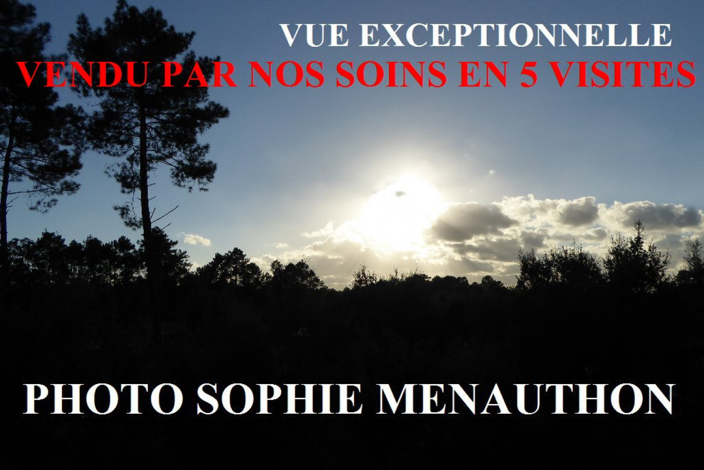 vente Villa d'architecte Capbreton - Photo 1