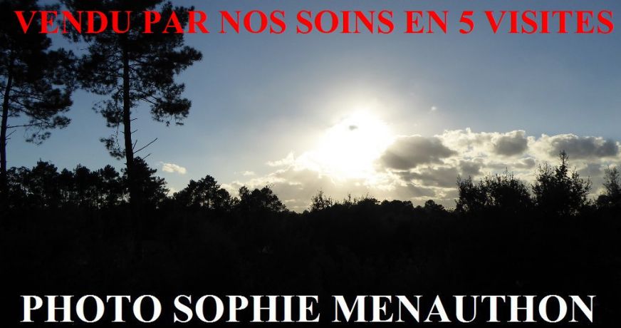 vente Villa d'architecte Capbreton