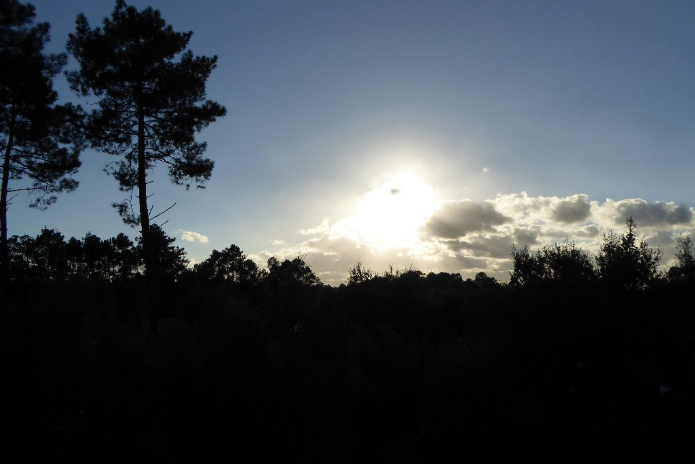 vente Villa d'architecte Capbreton - Photo 14