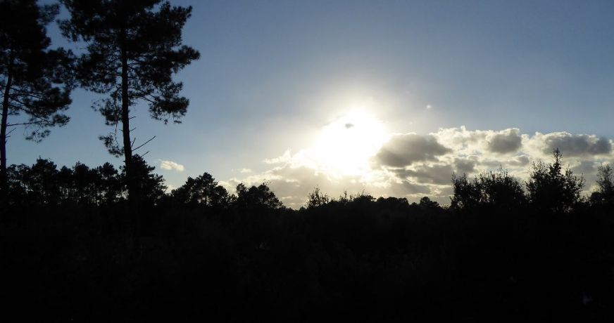 vente Villa d'architecte Capbreton