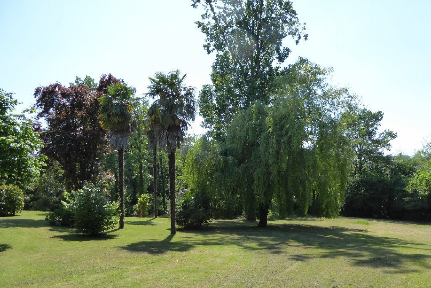 vente Corps de ferme Peyrehorade - Photo 19