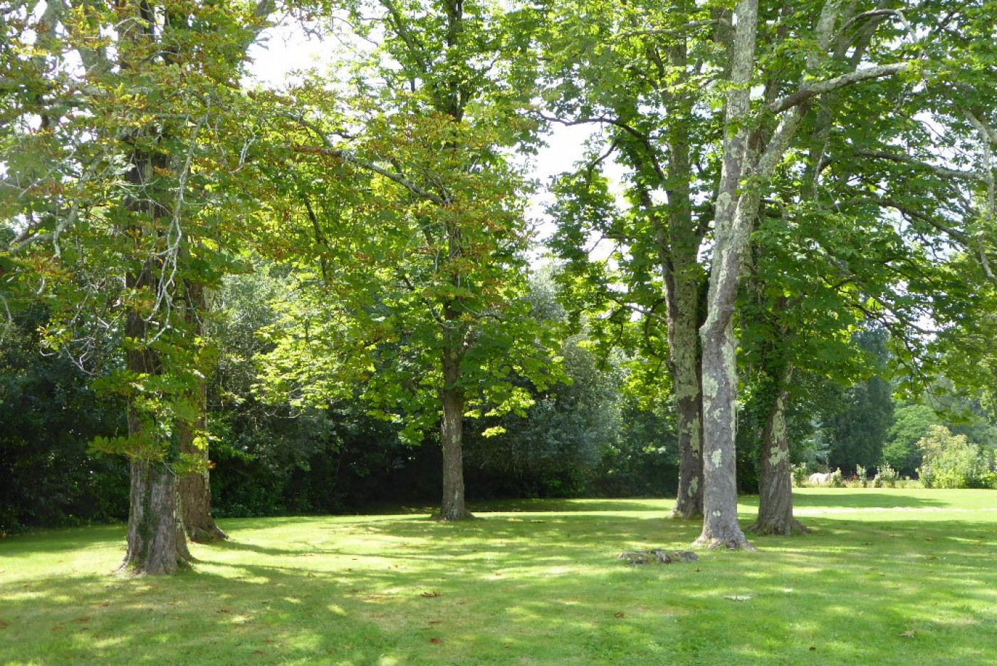 vente Maison de caractère Bayonne - Photo 2