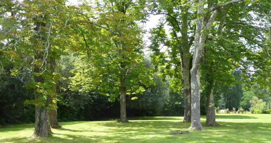vente Maison de caractère Bayonne