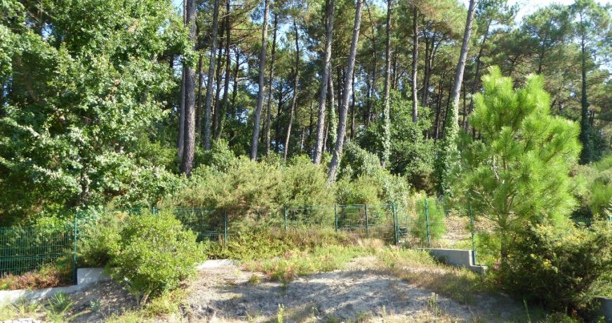 vente Villa d'architecte Capbreton