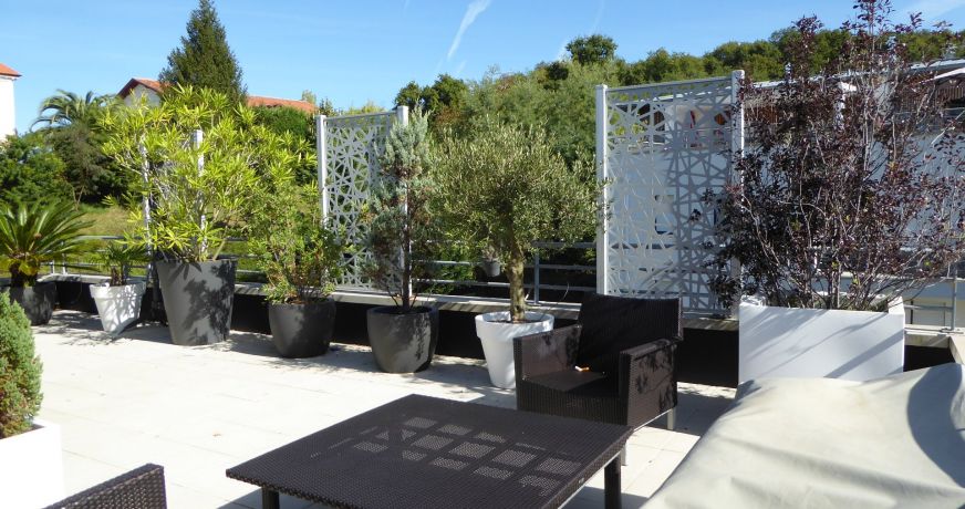 vente Appartement terrasse Saint Jean De Luz
