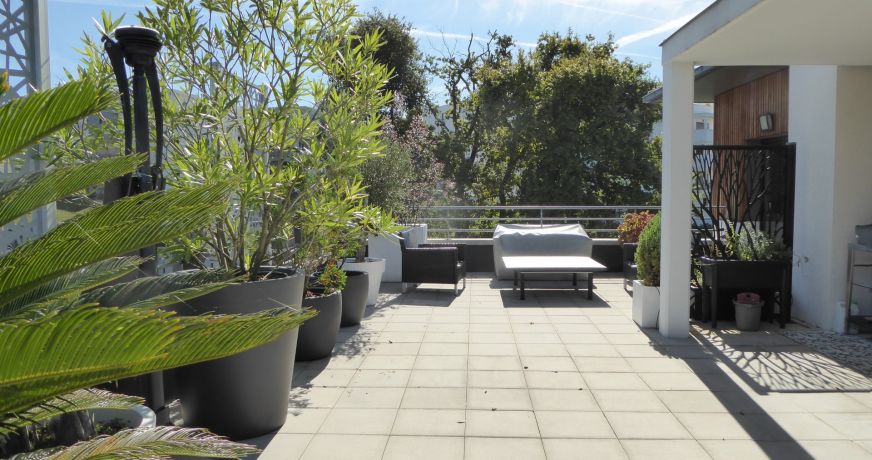 vente Appartement terrasse Saint Jean De Luz