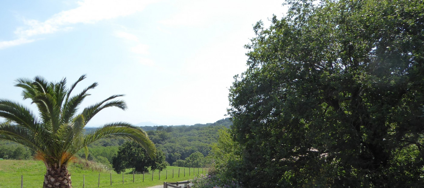 vente Maison contemporaine Saint Martin De Seignanx - Photo 11