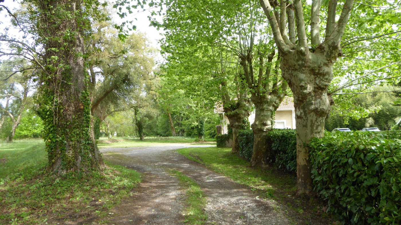vente Maison de maître Hossegor - Photo 15
