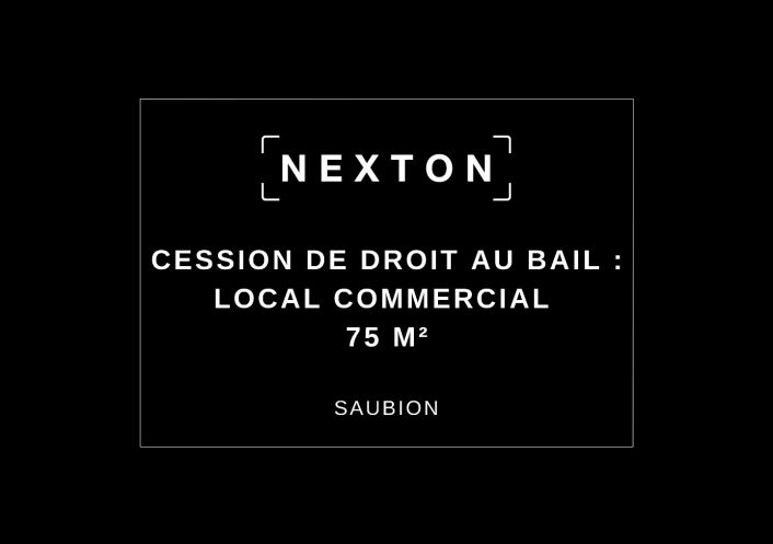 vente Local commercial Saubion