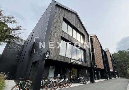 location Local commercial Soorts Hossegor