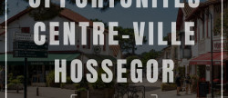 vente Local commercial Hossegor