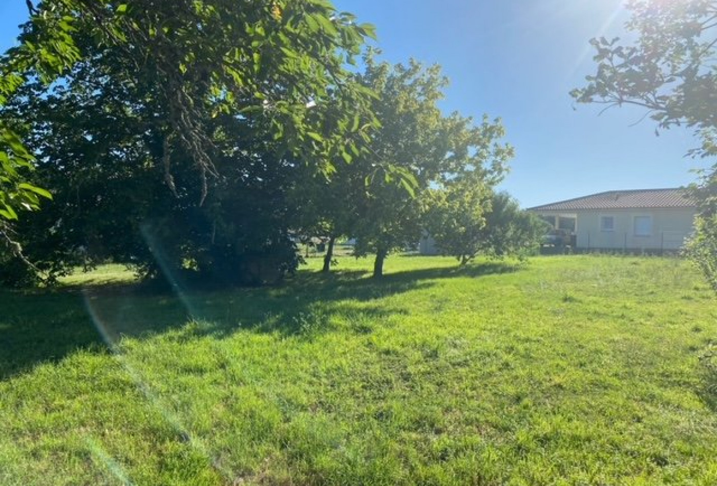 vente Terrain diffus (hors lotissement) Bellebat - Photo 5