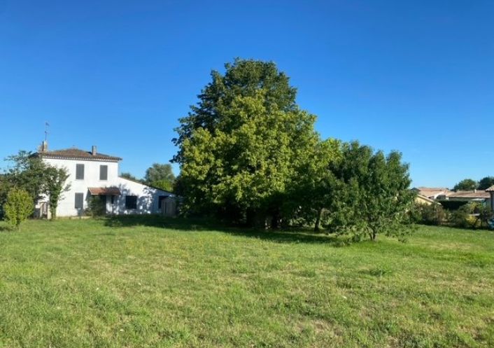vente Terrain diffus (hors lotissement) Bellebat