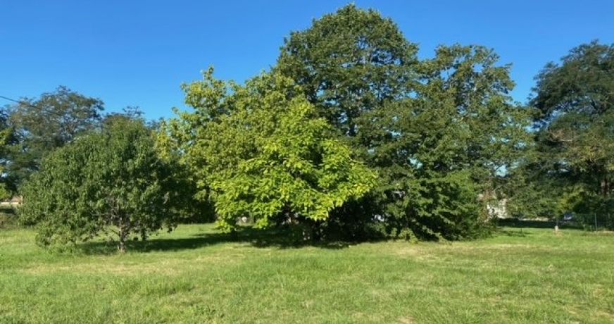 vente Terrain diffus (hors lotissement) Bellebat