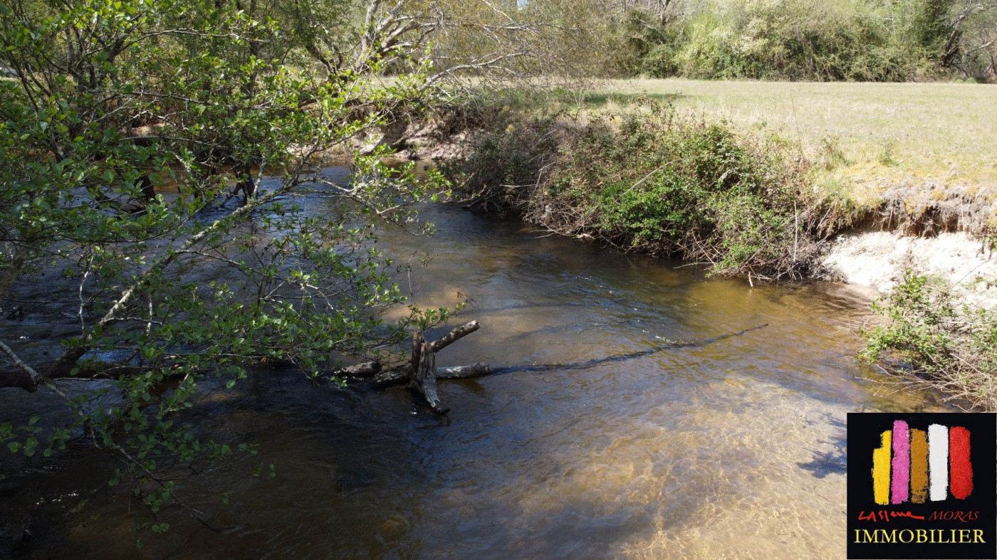 vente Propriété Saint Michel Escalus - Photo 4