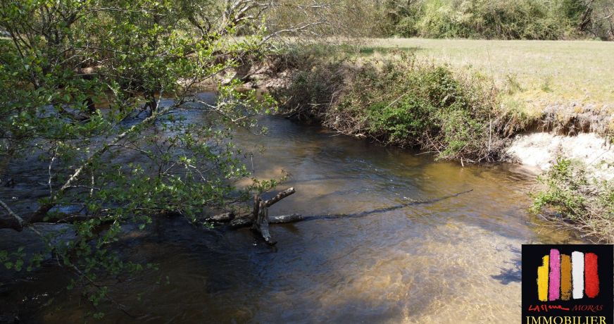 vente Propriété Saint Michel Escalus