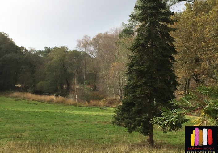 vente Propriété Saint Michel Escalus