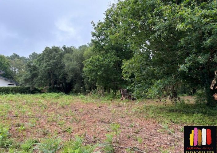 vente Terrain constructible Messanges