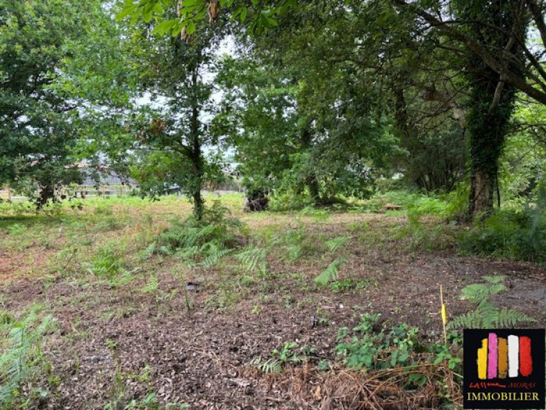 vente Terrain constructible Messanges - Photo 2