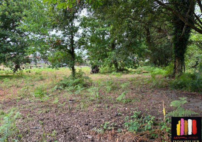 vente Terrain constructible Messanges