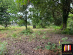 vente Terrain constructible Messanges
