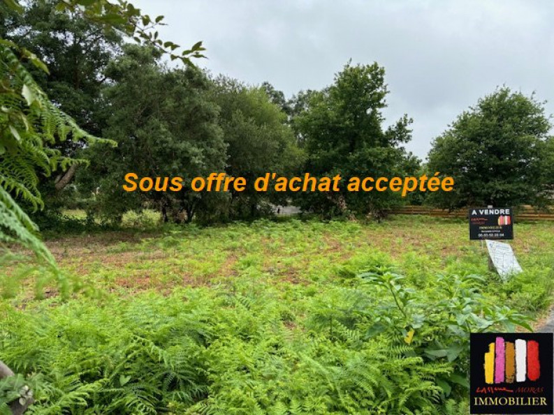 vente Terrain constructible Messanges - Photo 1