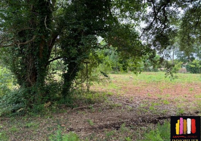 vente Terrain constructible Messanges