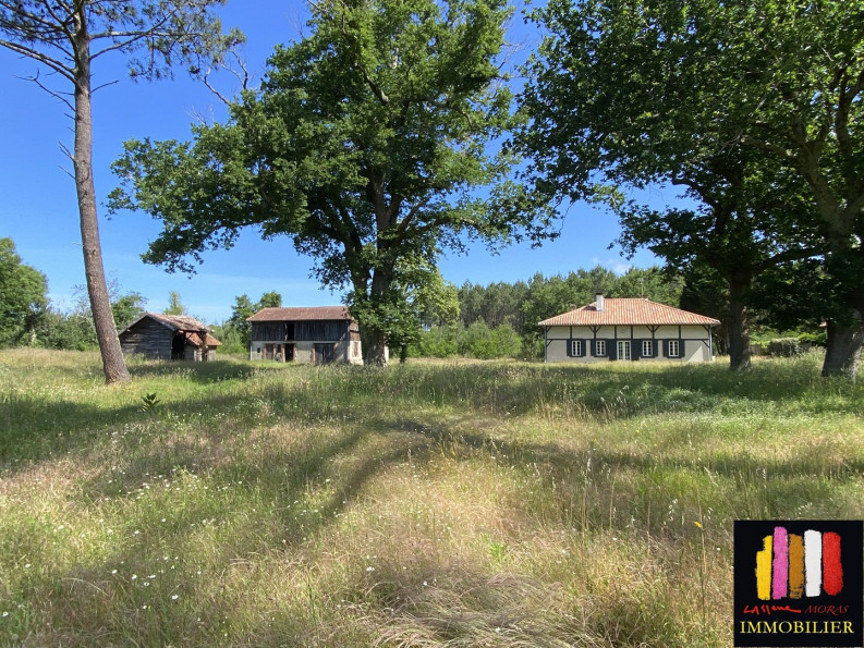 vente Maison Mimizan - Photo 6