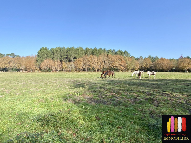 vente Terrain diffus (hors lotissement) Mezos - Photo 4