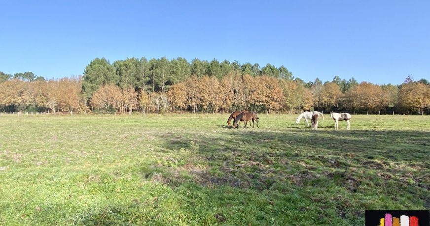 vente Terrain diffus (hors lotissement) Mezos