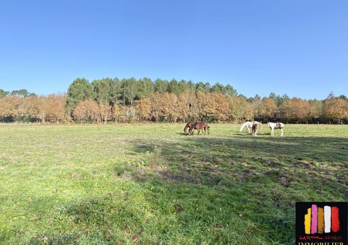 vente Terrain diffus (hors lotissement) Mezos