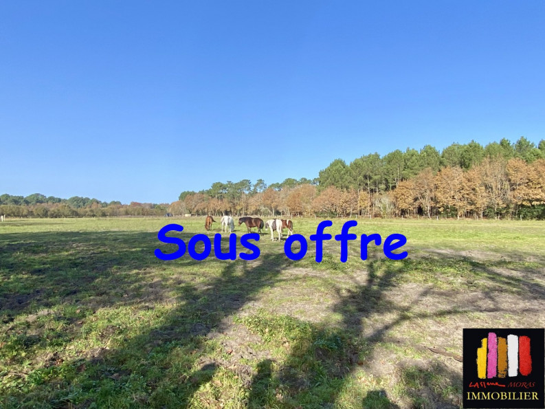 vente Terrain diffus (hors lotissement) Mezos - Photo 1