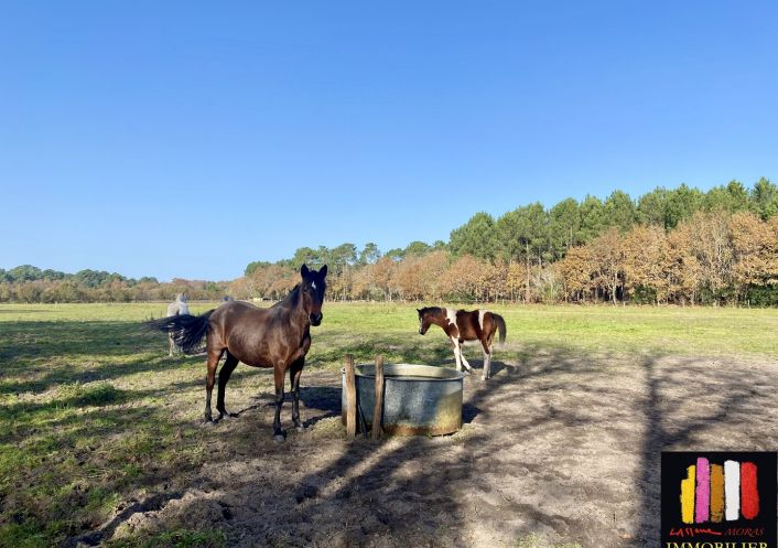 vente Terrain diffus (hors lotissement) Mezos