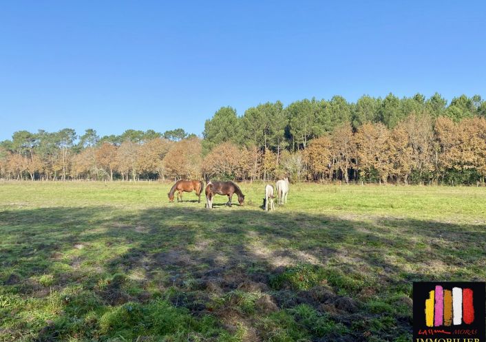 vente Terrain diffus (hors lotissement) Mezos