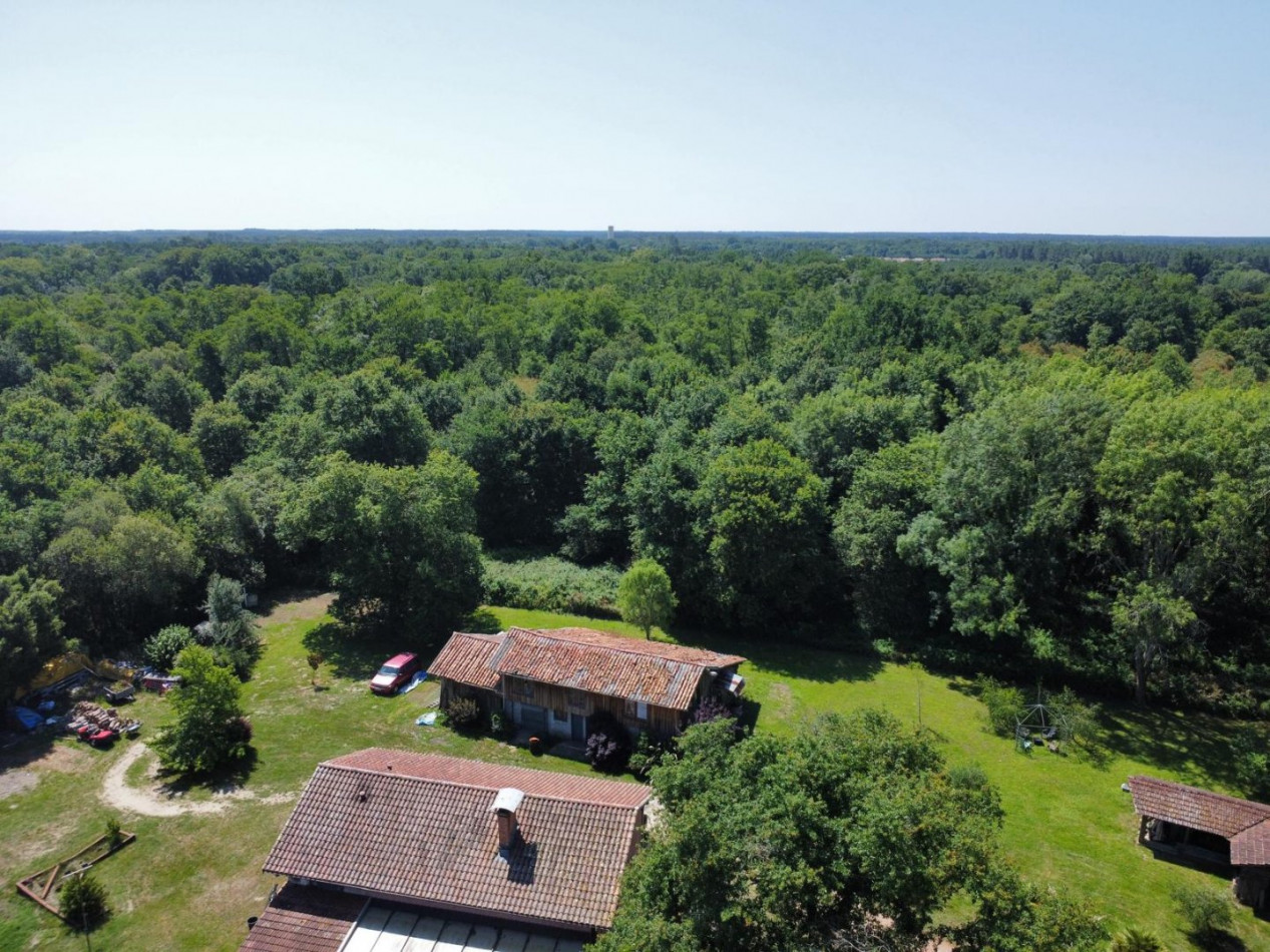 vente Propriété Saint Paul En Born - Photo 10