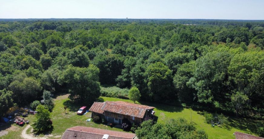 vente Propriété Saint Paul En Born