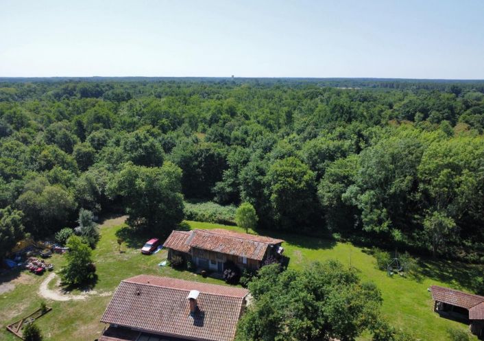 vente Propriété Saint Paul En Born