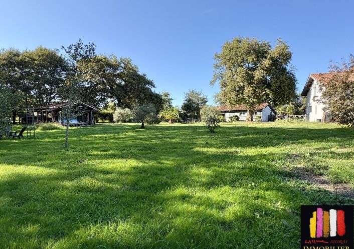 vente Propriété Saint Paul En Born