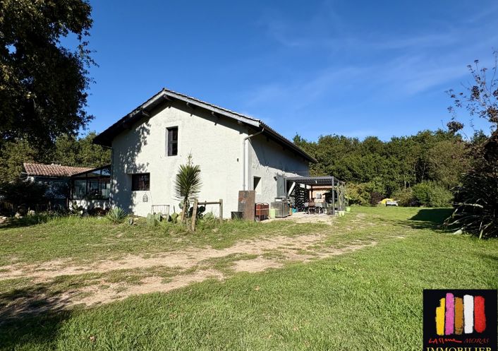 vente Propriété Saint Paul En Born