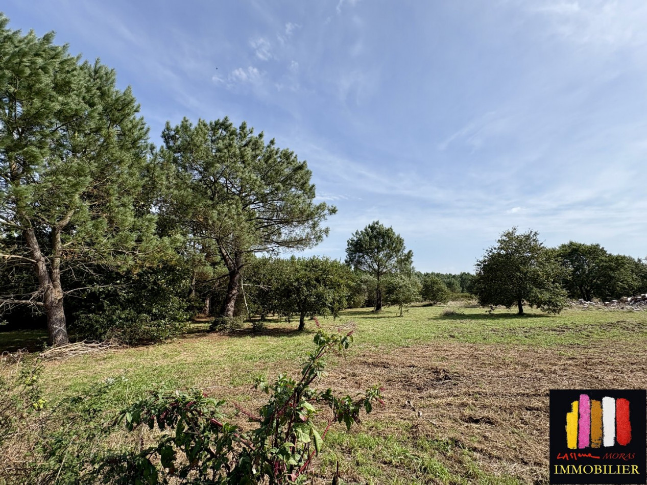 vente Maison Mimizan - Photo 10